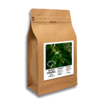Chenalhó. La intensidad Pura del café
